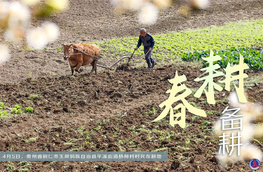 （图表·海报）［新华全媒+］春耕备耕 不误农时（3）