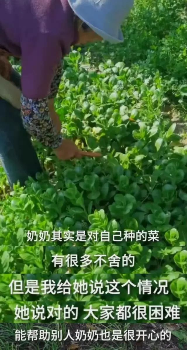 這8個(gè)細(xì)節(jié)，讓人忍不住淚目！