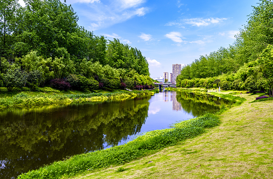 "看镜头丨共享蓝天碧水净土——重庆水务环境集团首届摄影大赛"精选