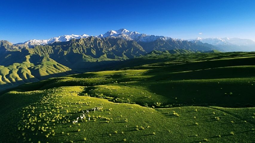 阿迪力·那的尔制作:茹斯坦素材提供:新疆策勒县委宣传部新华网出品