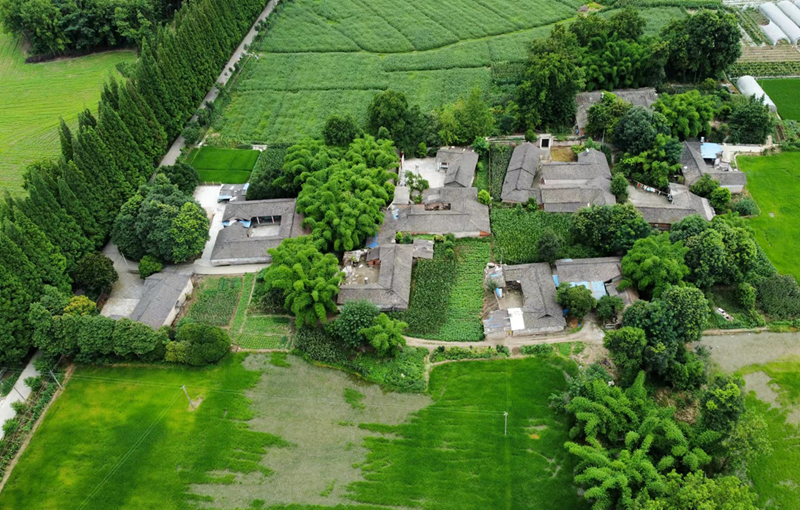 2022年川西林盘宣传推广季(大邑·庙湾林盘站)活动举行 - 新华网客户