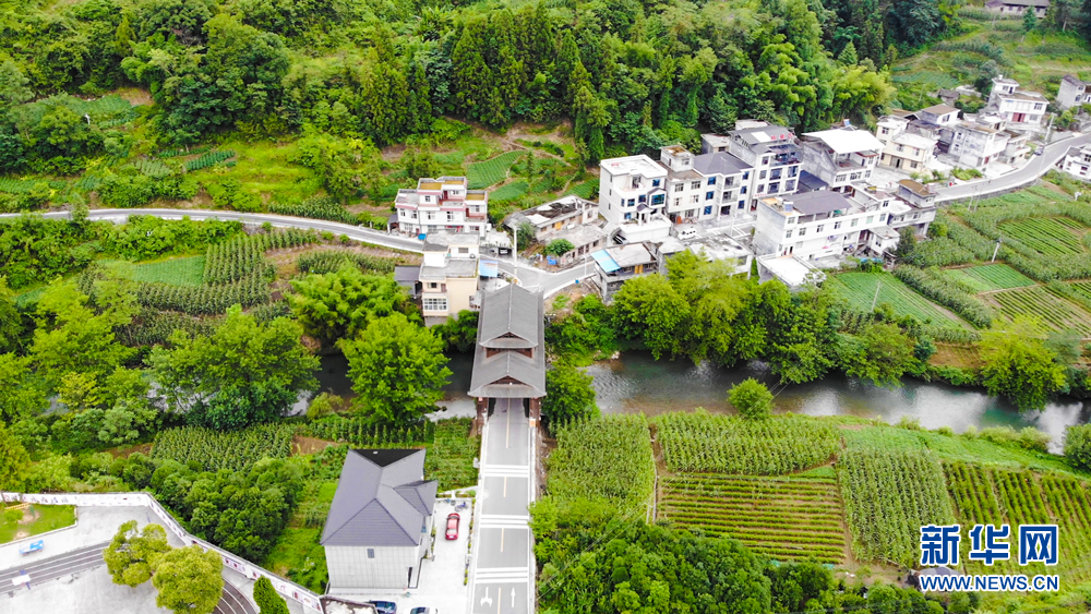 "飞阅"中国】湖北咸丰湾田村:美丽乡村绿意浓