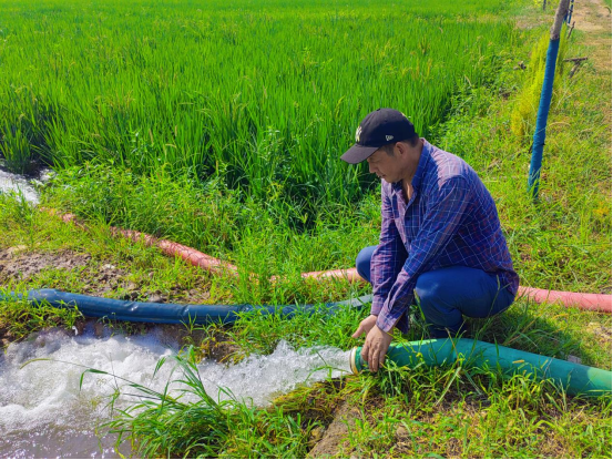 衢州柯城:千亩稻田"喊渴" 水利引水保灌溉 - 新华网客户端