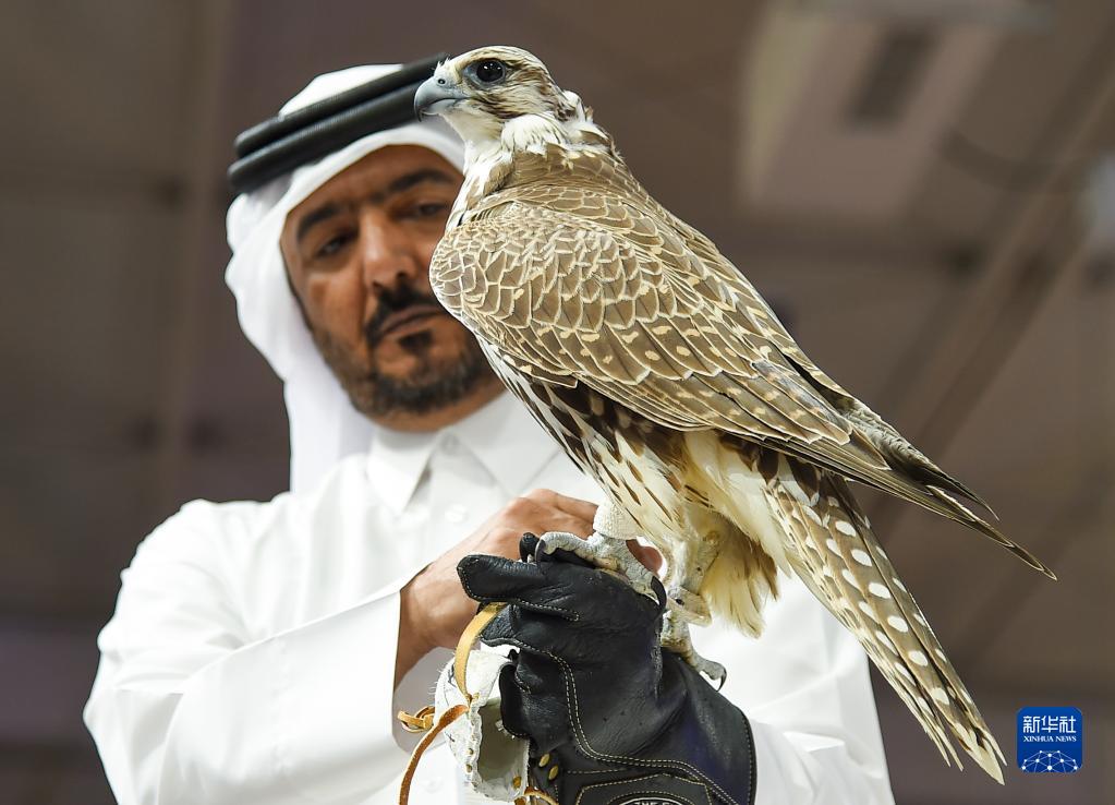 卡塔尔举办第六届国际狩猎和猎鹰展 - 新华网客户端