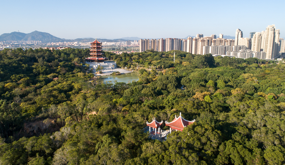 晋江市林业园林部门最新数据显示:当前,晋江城市建成区绿地率39.