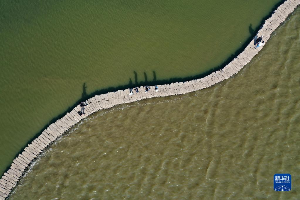 海口蛇桥风景区图片图片