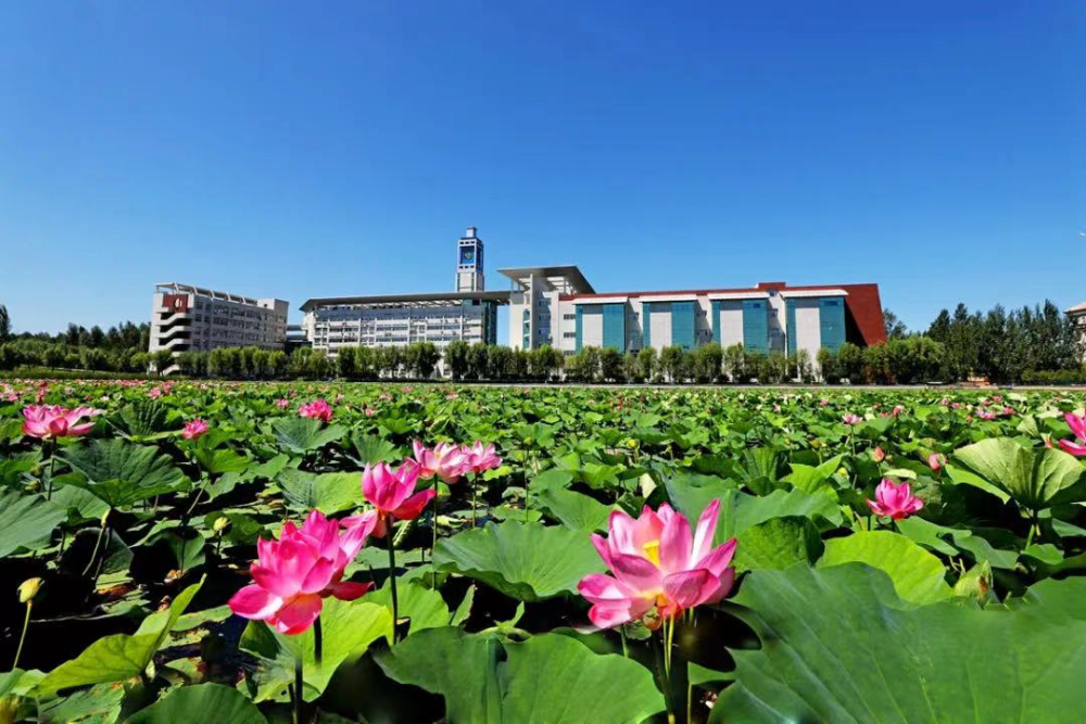 吉林农业大学风景图图片