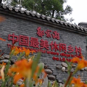 微信分享图