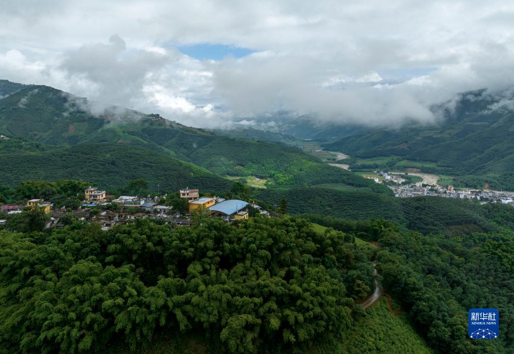 国道之行 从雪山奔向大海丨重返丛林 感受苦聪人的“一步千年” - 新华网客户端