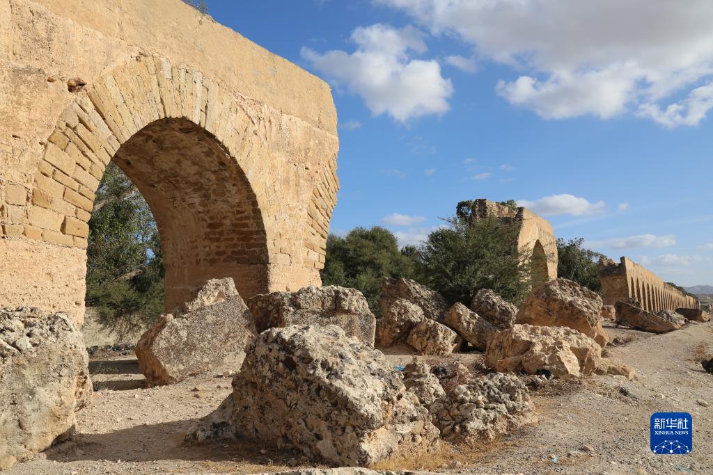 突尼斯的宰格万渡槽遗迹