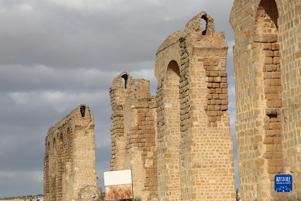 突尼斯的宰格万渡槽遗迹