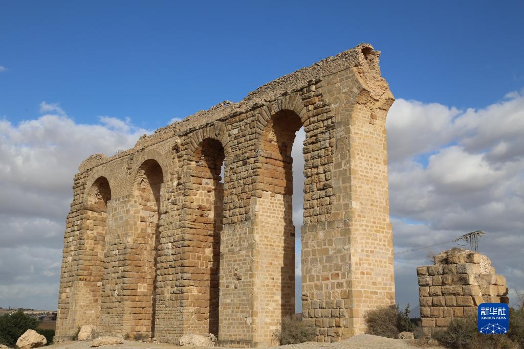 突尼斯的宰格万渡槽遗迹