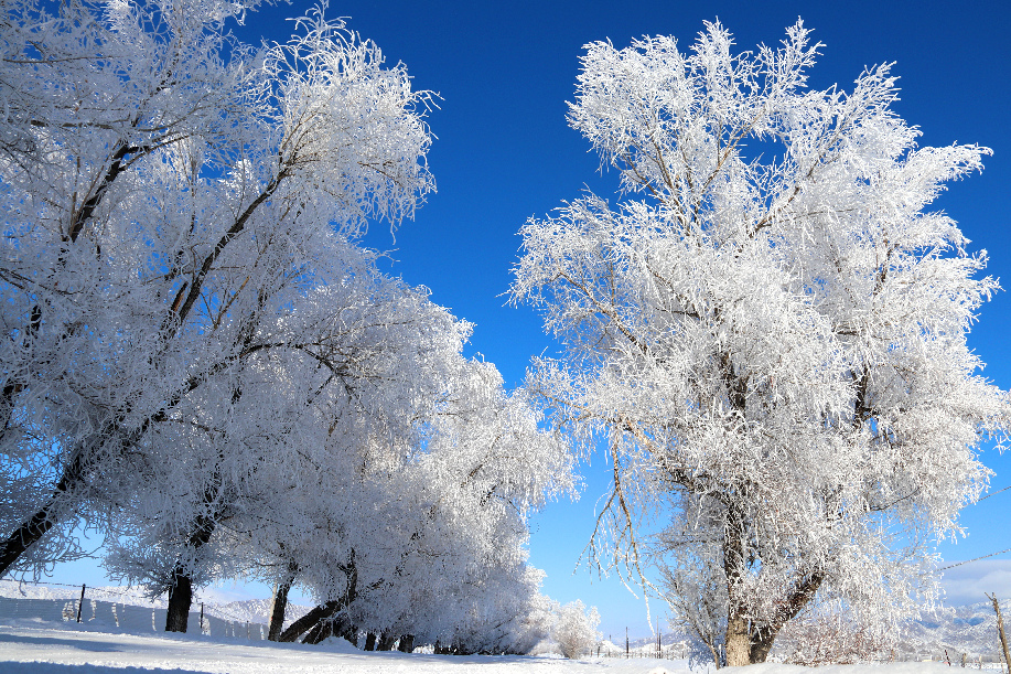 雾凇mmexport1700557116388