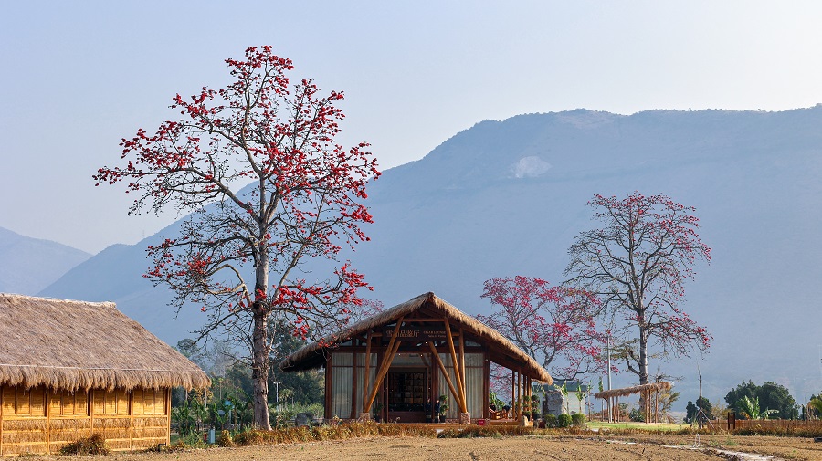 保山潞江镇雪茄烟全产业链布局初具雏形