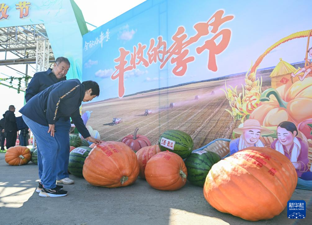 “大粮仓”黑龙江:丰收节上看“丰”景 - 新华网客户端