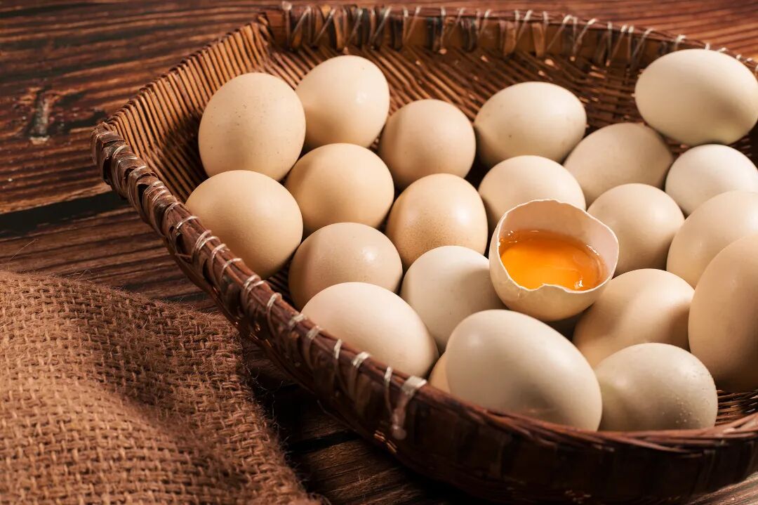 1、鸡蛋.jpg