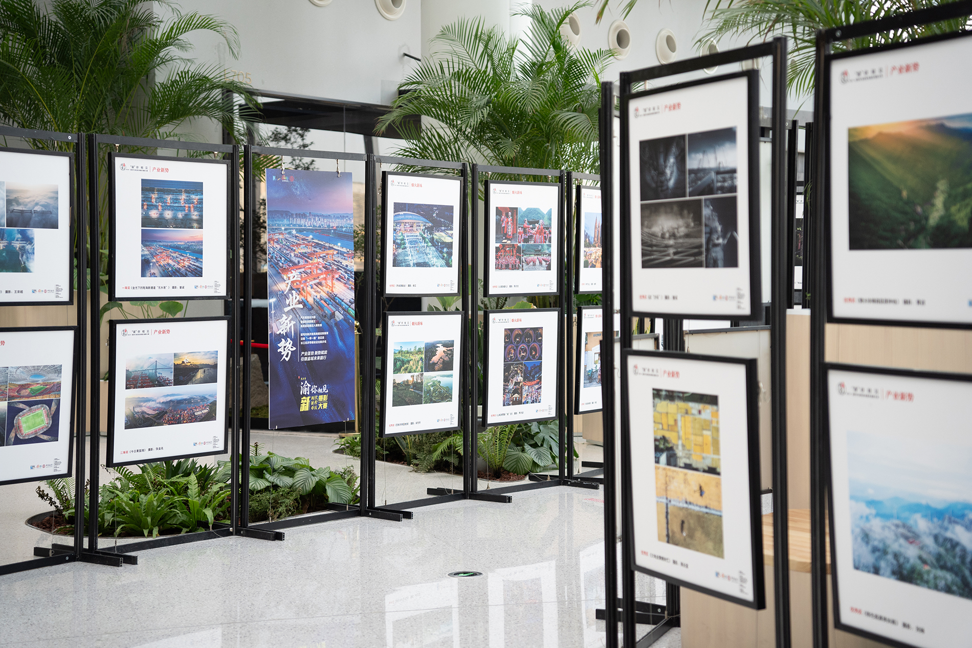 印象城寻新重庆映像渝你相见新时代新征程新重庆摄影大赛图片展启动