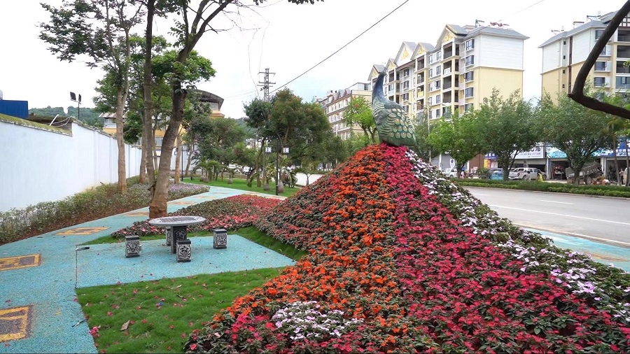 普洱孟连:"生态 "铺就县城绿美底色 - 新华网客户端