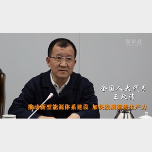 全国人大代表王政涛推动新型能源体系建设加快发展新质生产力
