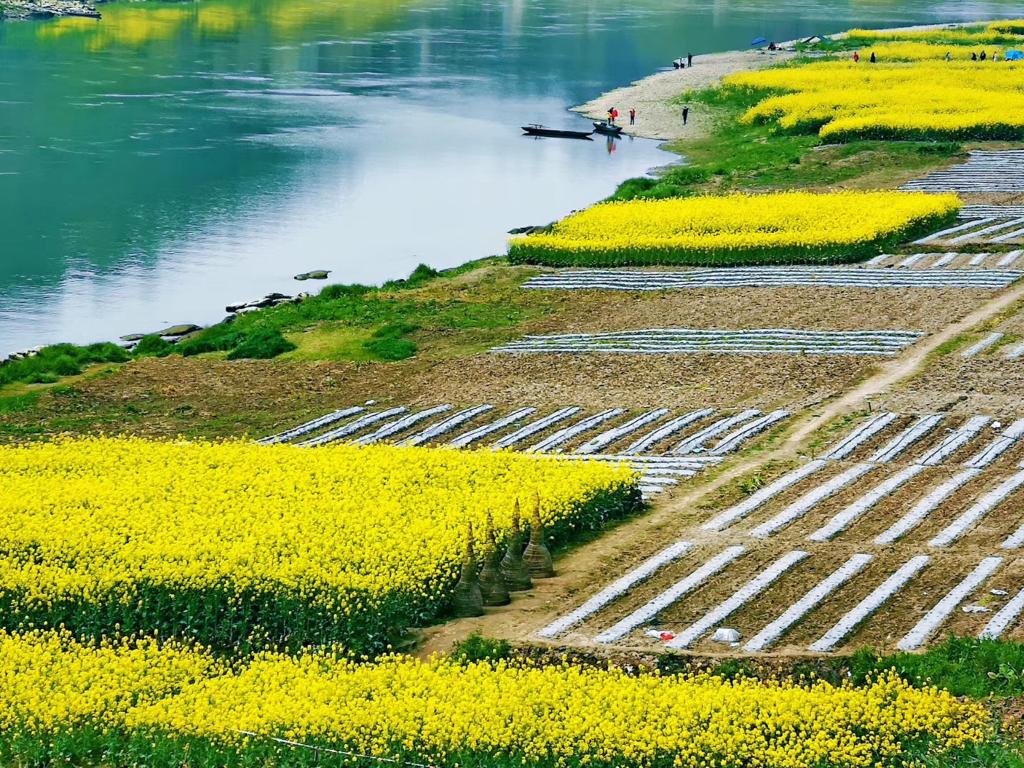 月12日在四川省乐山市中区与眉山市青神县交界处拍摄的平羌小三峡春景