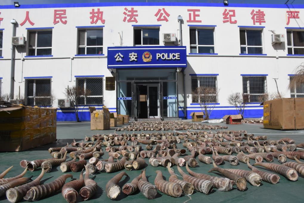 拍案丨安检牵出“案中案” 警方摧毁跨境犯罪暗网始末 - 新华网客户端