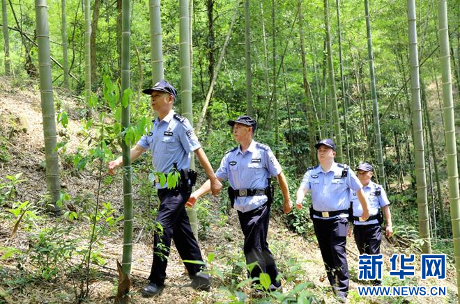 湖北崇阳龚学良图片