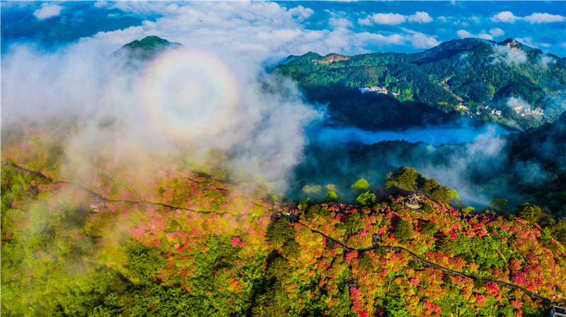 湖北交投麻城龟峰山景区