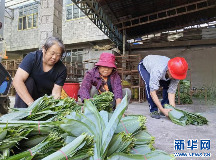 湖北鹤峰：又到箬叶采摘季 - 新华网客户端