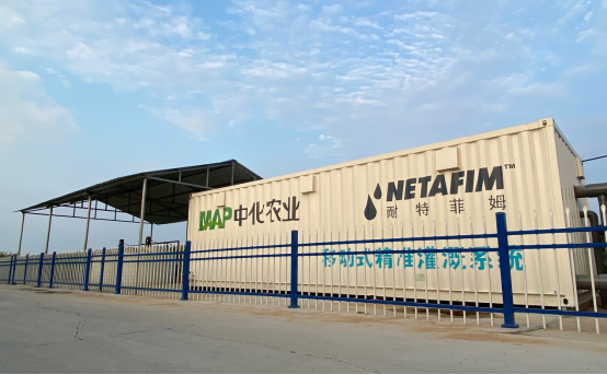 密植精准调控促高产 山东桓台中化农业MAP示范田种出玉米单产提升新成果 - 新华网客户端