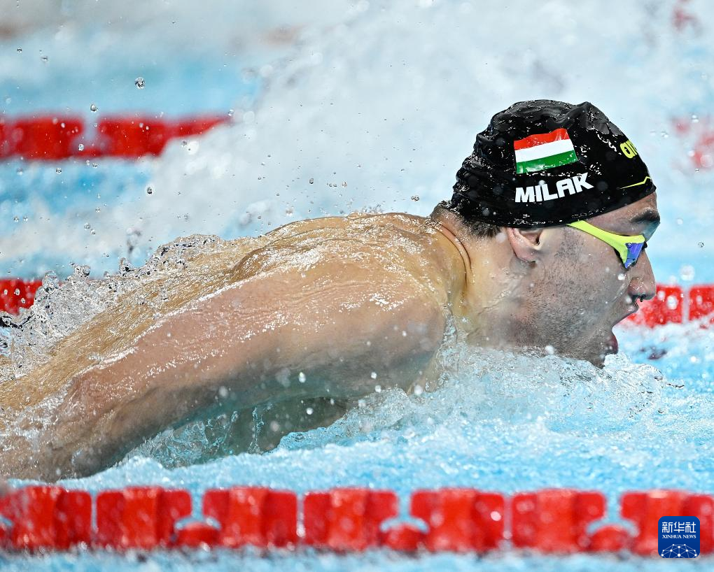 巴黎奥运会丨游泳——男子100米蝶泳半决赛赛况