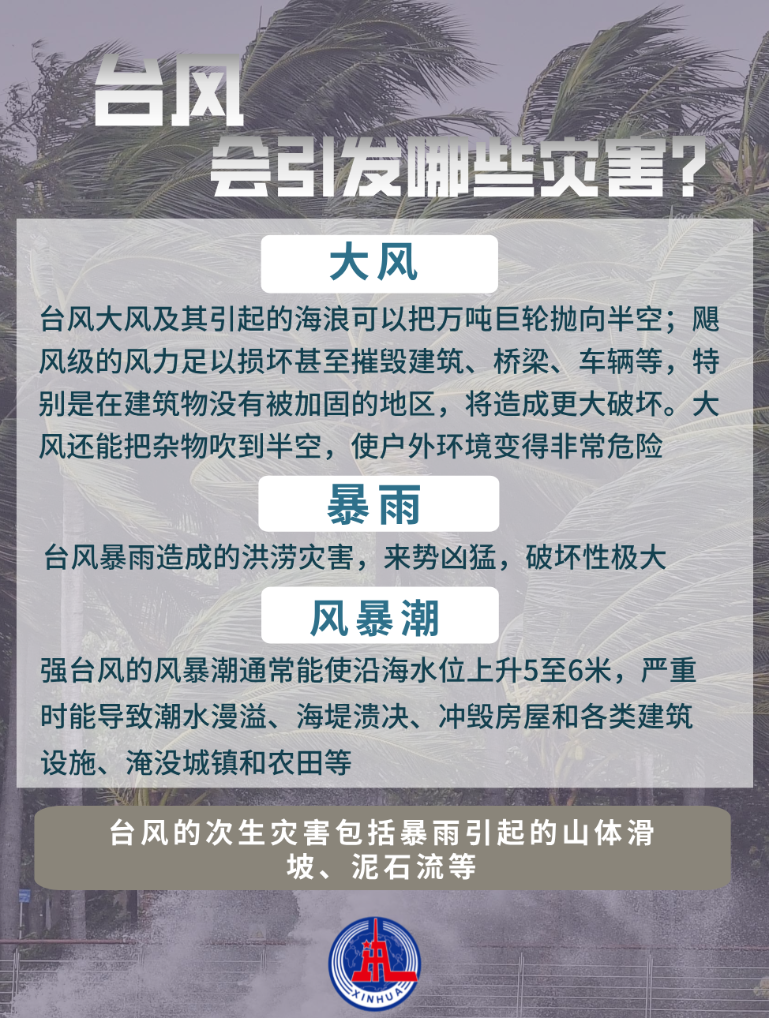 新澳门最快开奖结果开奖,聚焦防汛抗洪丨台风来袭，如何防范应对？