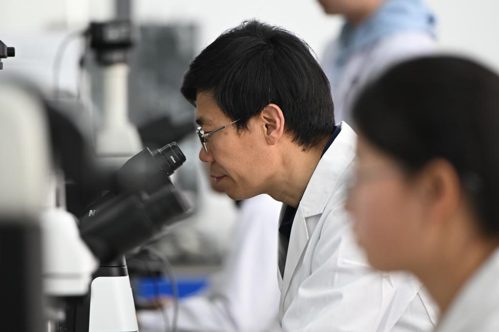 3月21日,在国家农业环境微生物种质资源库(辽宁)中心试验室,张世宏在