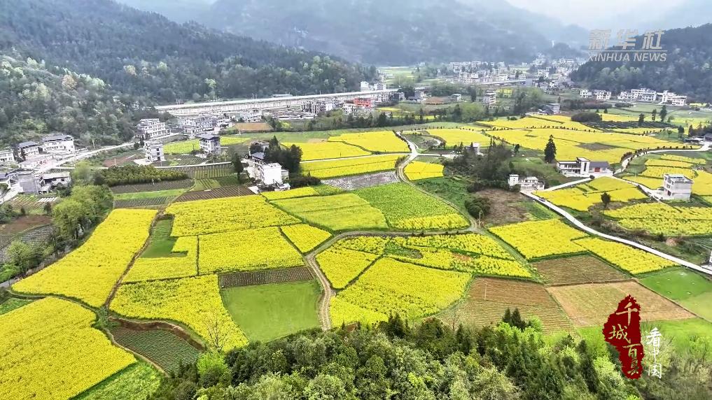 千城百县看中国｜湖北咸丰：武陵春韵正浓 - 新华网客户端