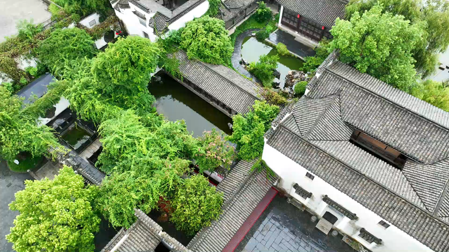 安徽铜陵漫园秋雨