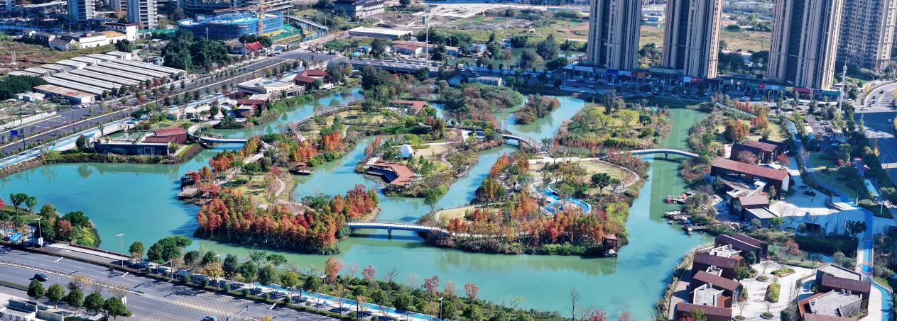 浙江龙港：推动城市更新 迈向“理想之城” - 新华网客户端