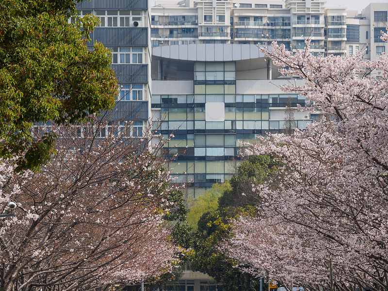VCG41N517011076.jpg