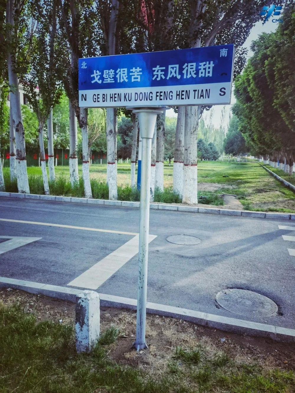 想你的风是东风” 酒泉这些路牌甜到你了吗- 新华网客户端