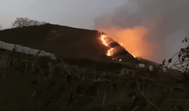 1704959524296928.gif 31.gif
