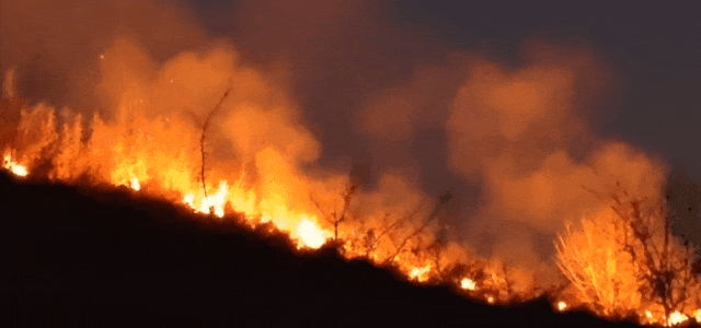 1704959535940121.gif 32.gif