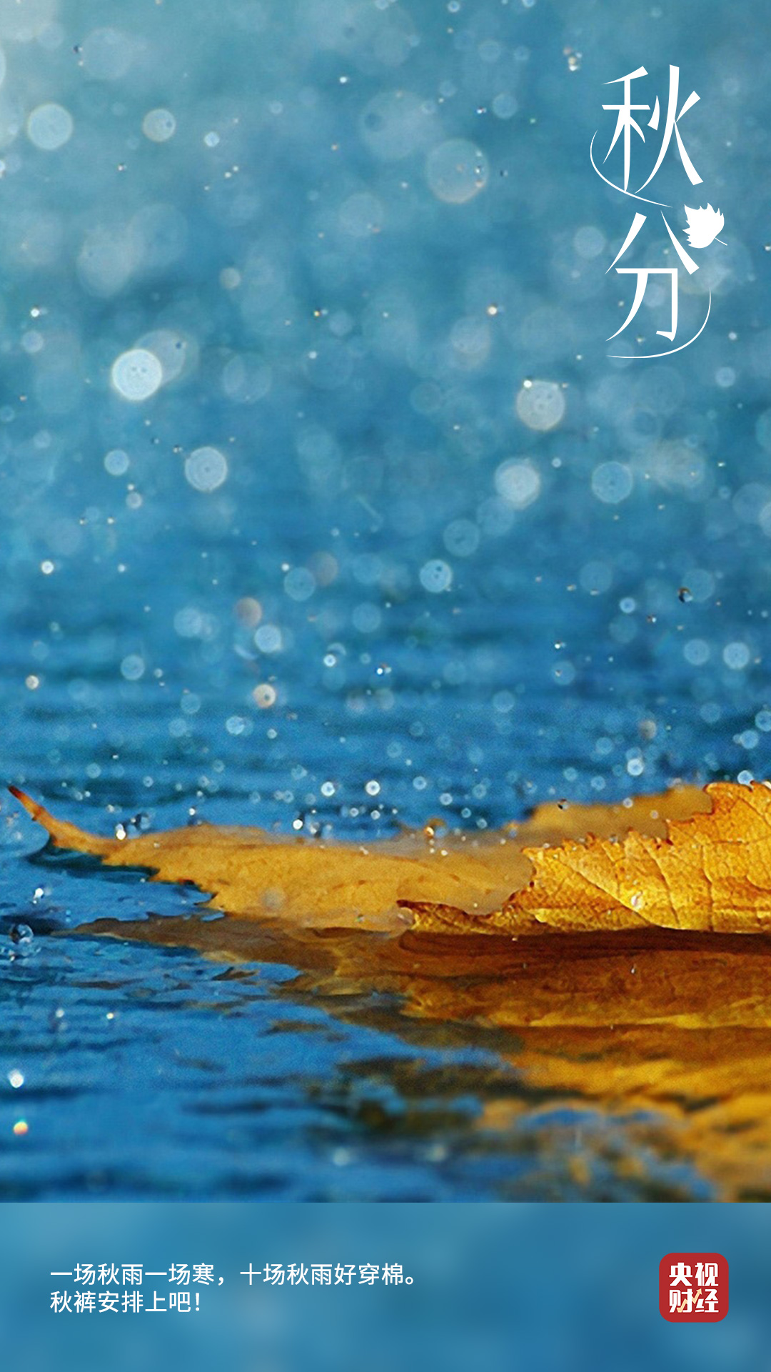 今日，秋分！一场秋雨一场寒，你的秋裤安排了吗？ - 新华网客户端