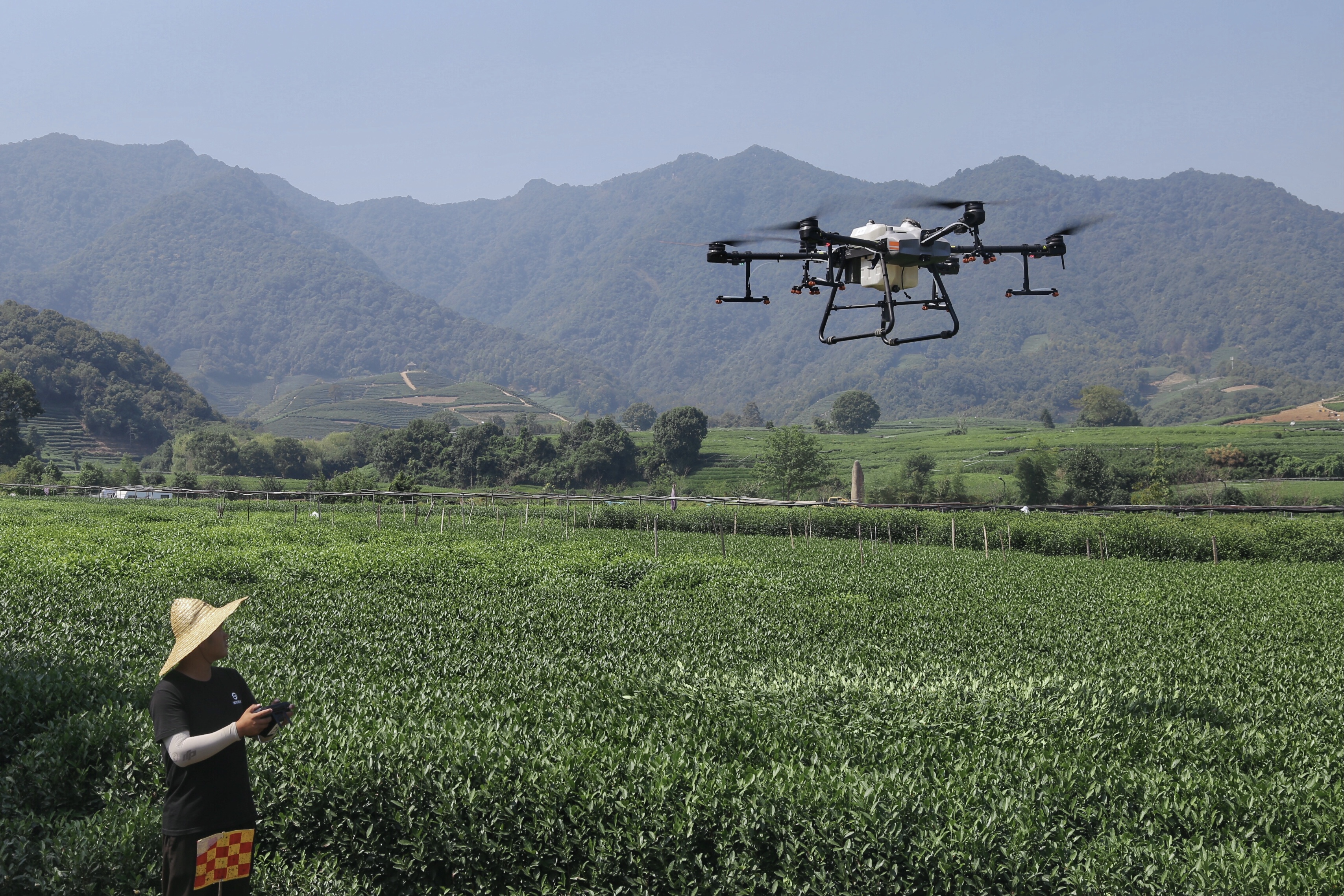 交流会现场,只见绵延成片的西湖龙井茶园上,数架大疆t30植保无人机并