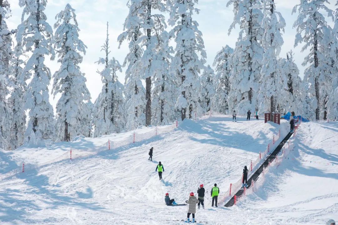 瓦屋山滑雪场位置图片