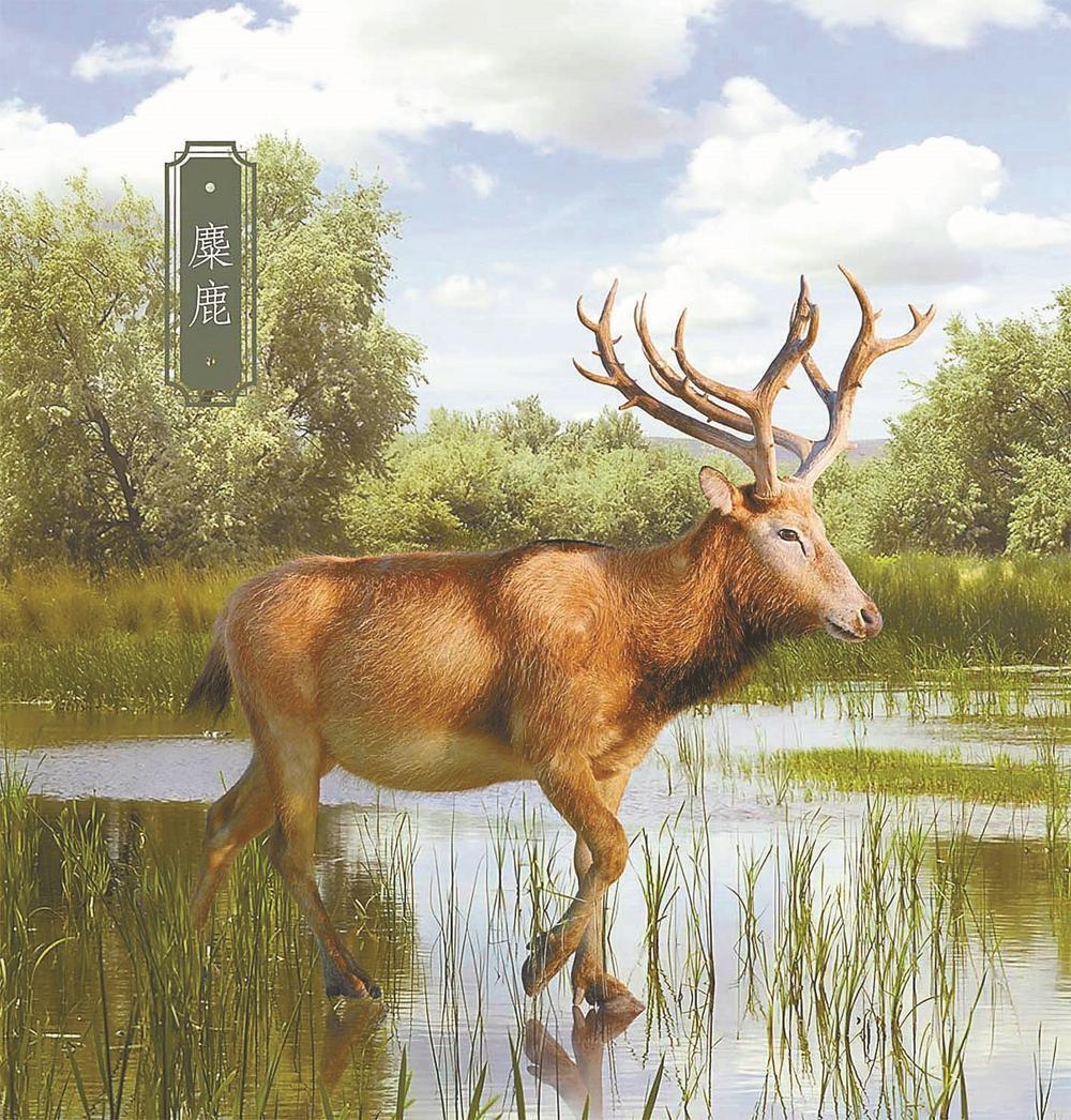 江苏盐城:全球首批黄海湿地数字藏品"吉祥三宝"5日亮相