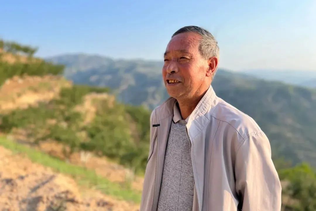 礼县雷王乡小花椒奏响乡村振兴椒响曲陇南礼县发布