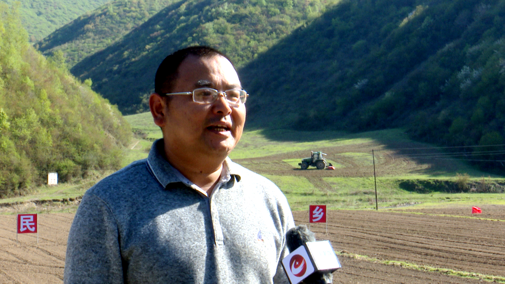 礼县崖城镇千亩田野日日新撂荒地变致富田