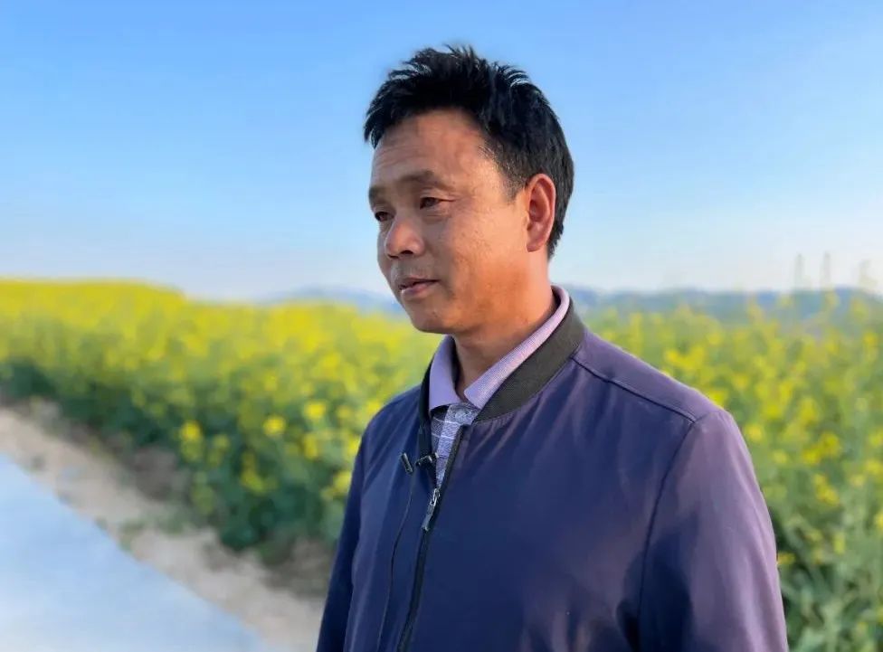 礼县雷王乡小花椒奏响乡村振兴椒响曲陇南礼县发布