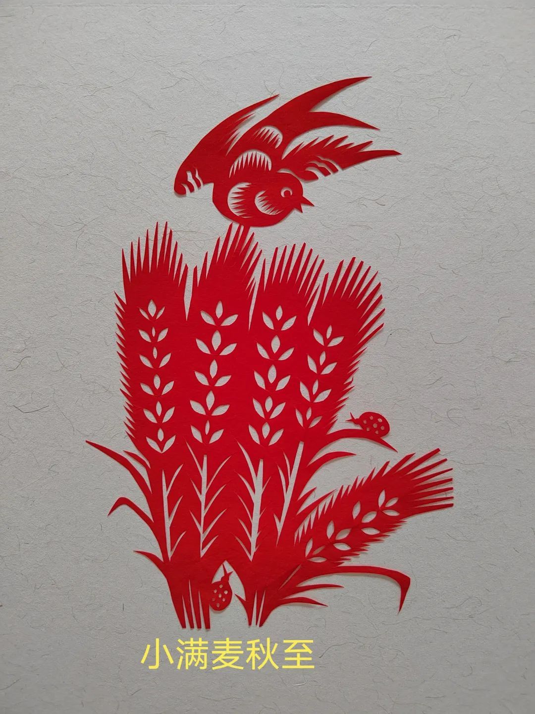 礼乐山东聊城东昌府聊城非遗剪纸中的24节气之小满